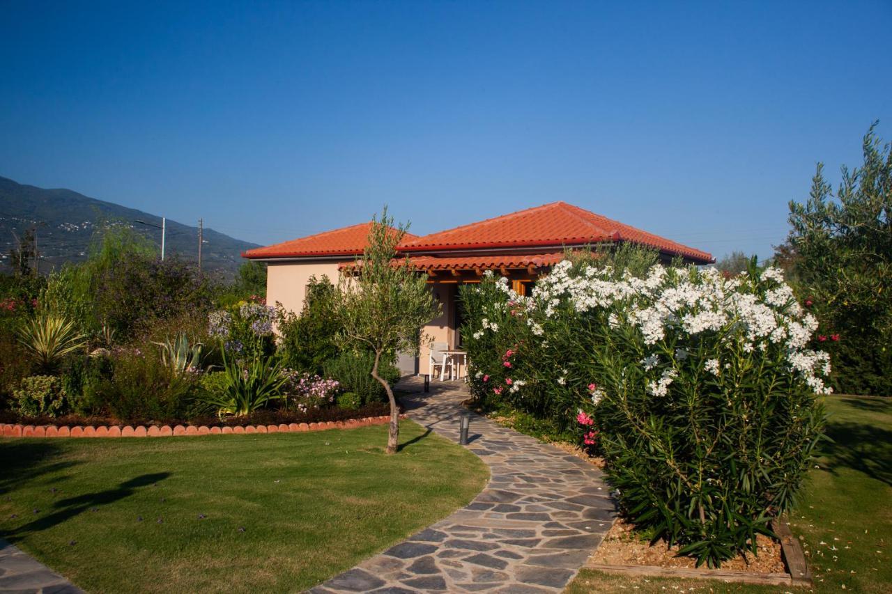 Elite Cottages Káto Lekhónia Buitenkant foto
